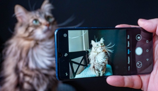 6 rules that will help to make a great portrait on camera phone