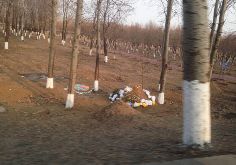 6 tristes hechos acerca de los funerales en China: el lugar en un millón, alquiler de tumbas y de moda para la cremación