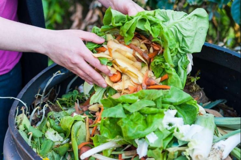 7 consejos del chef, que voy a enseñar a tirar la comida