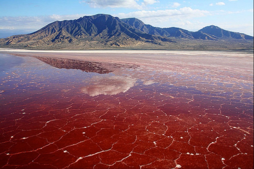 7 of the most bizarre natural phenomena that look like sorcery