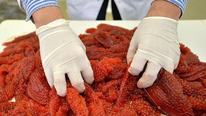 7 reglas de la elección de caviar rojo para la mesa de Navidad