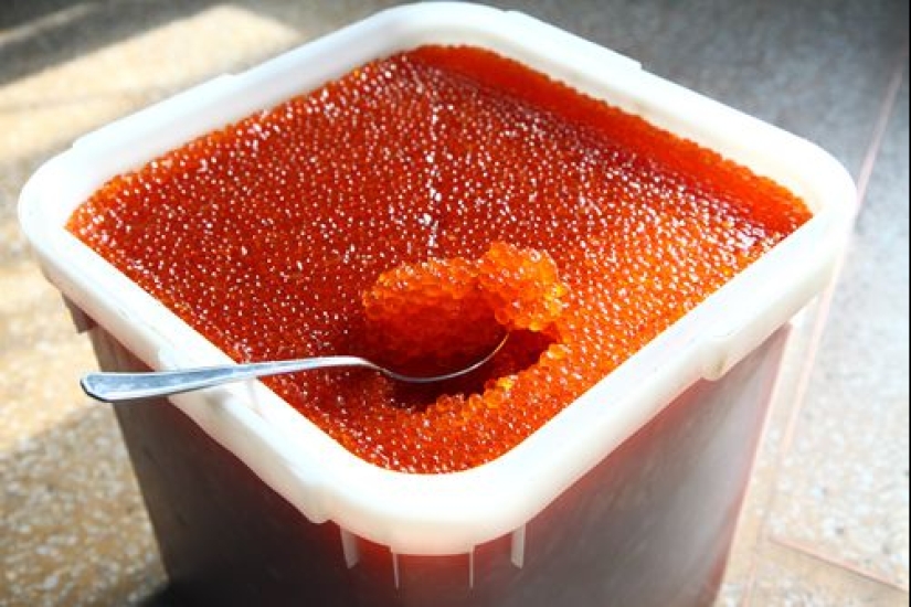 7 reglas de la elección de caviar rojo para la mesa de Navidad