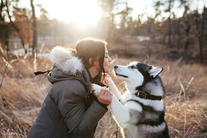 7 reglas por las cuales un perro elige a su dueño cuando vive en una familia