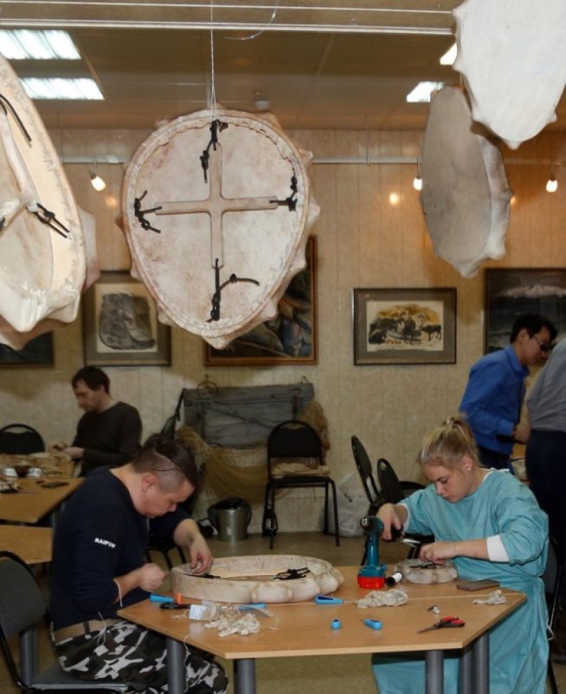 7 unusual occupations that are highly valued in Russia