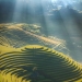8 Stunning Aerial Photos Of The Vietnamese Landscape By Daniel Kordan