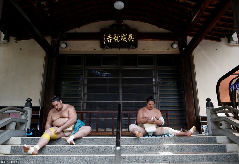 8000 calories a day and oxygen masks - how sumo wrestlers live