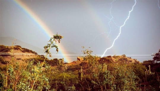 9 momentos increíbles atrapados en el marco