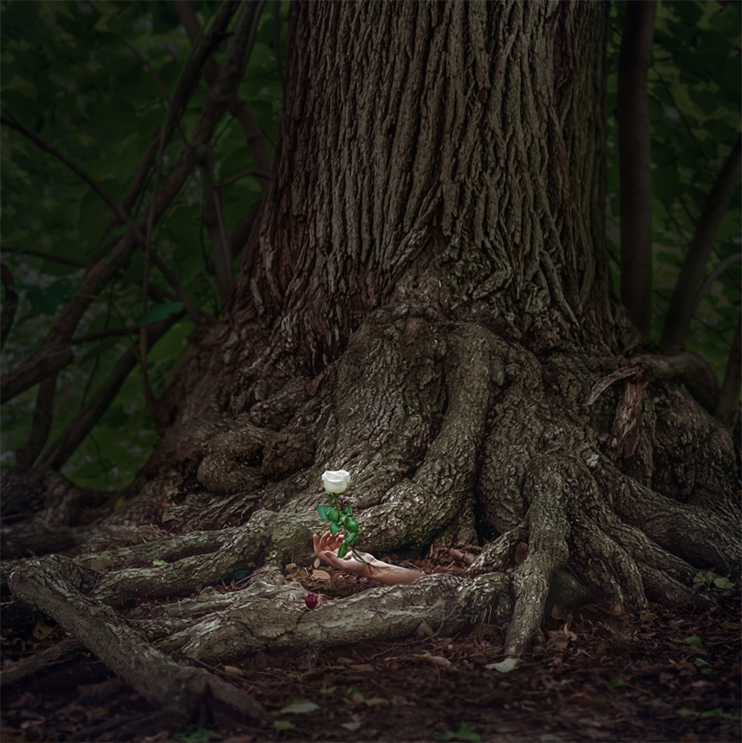 A dark fairy tale against the background of the cold landscapes of Iceland