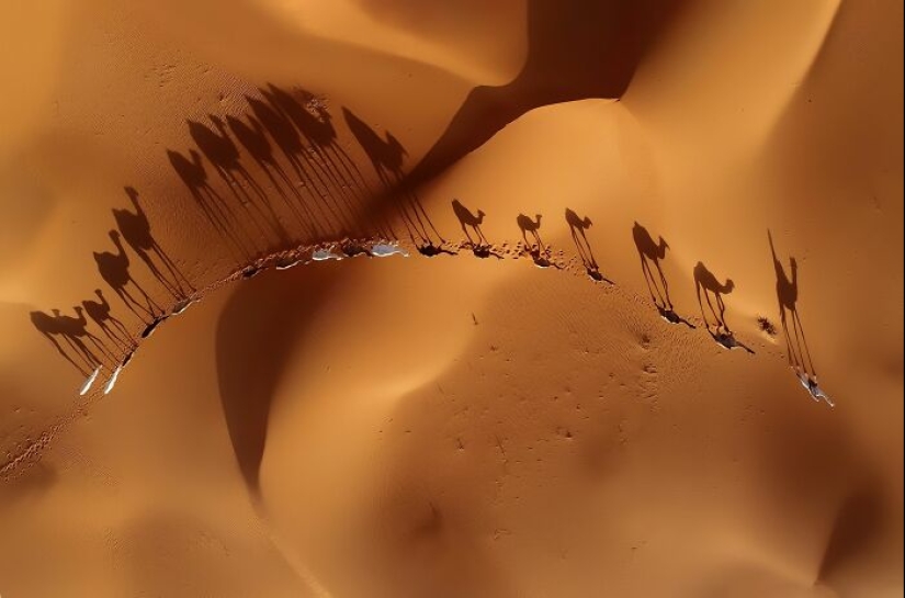 A Decade Of Nature’s Best: 12 Winning Shots From Siena Awards’ “Beauty Of Nature” Category