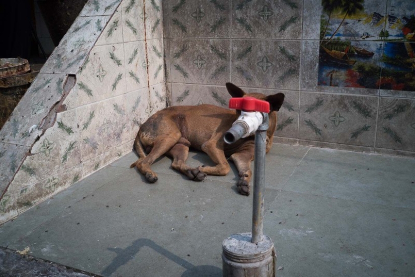 "A game of observation and imagination": how a street photographer from Spain fights boredom