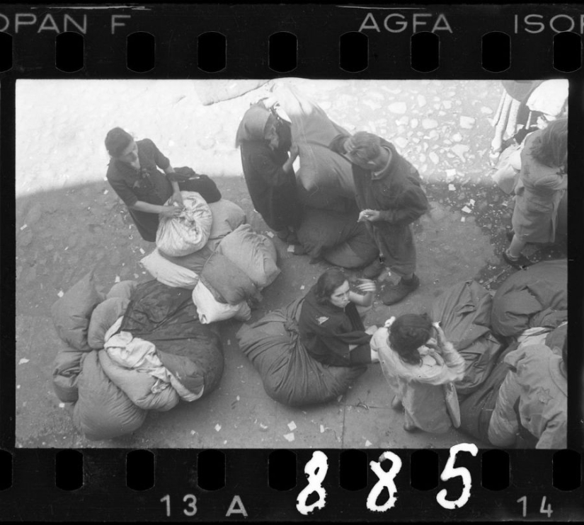 A Jewish photographer captured life in the ghetto in occupied Poland at his own risk.