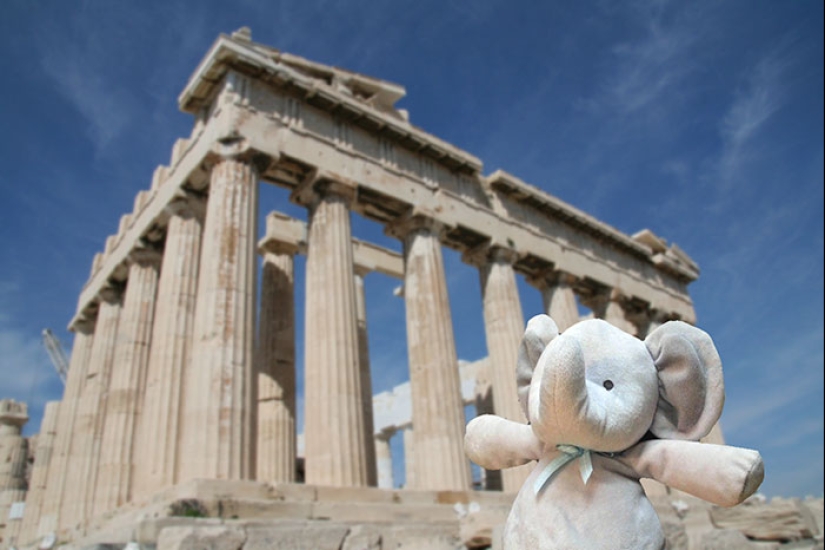 A lost stuffed elephant travels the world