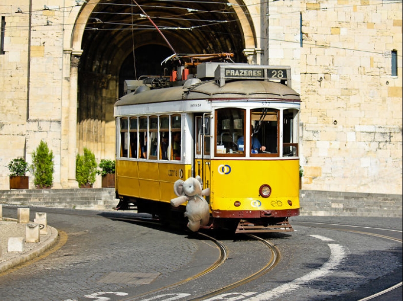 A lost stuffed elephant travels the world