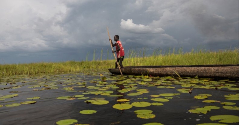 A picturesque village in a swamp in South Sudan