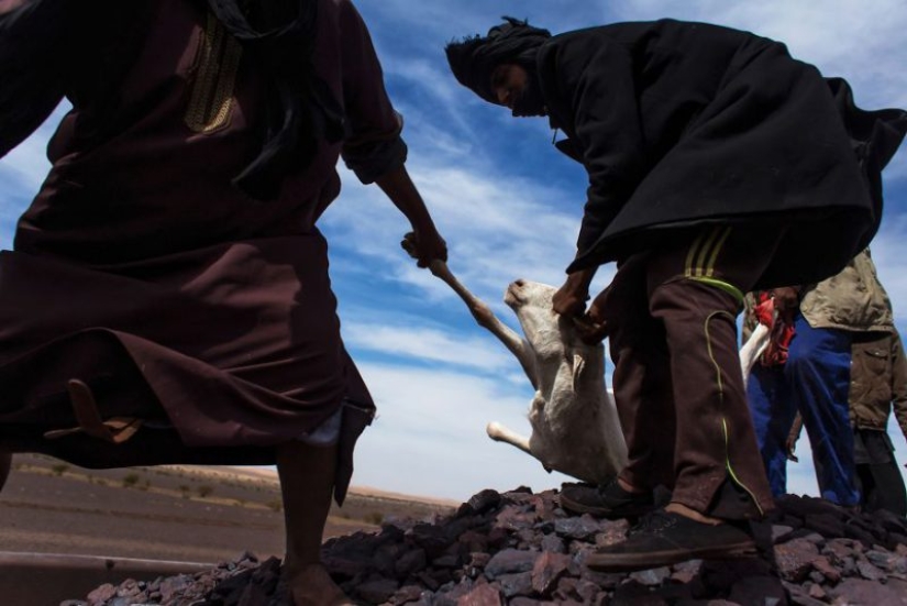 A través del Sahara, en el océano en el tren de carga: extrema viaje en el más largo de trenes en el mundo