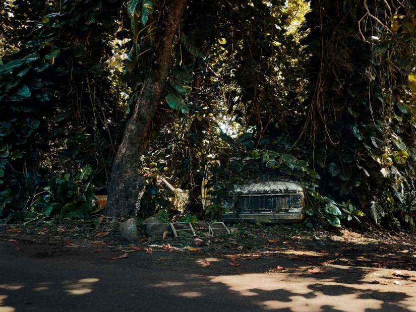 Abandoned cars in the Hawaiian jungle: a photographic project of Thomas Strigelsky