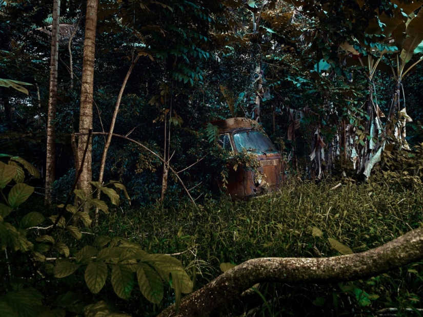 Abandoned cars in the Hawaiian jungle: a photographic project of Thomas Strigelsky