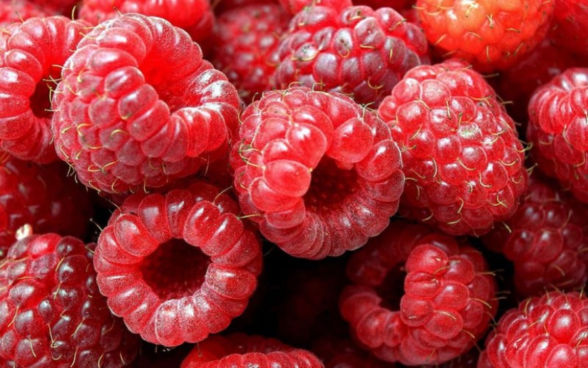 Abastecerse de vitaminas: cómo congelar las bayas y las frutas