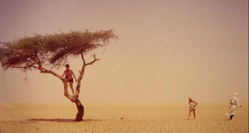 Acacia Tenere - the loneliest tree on our planet