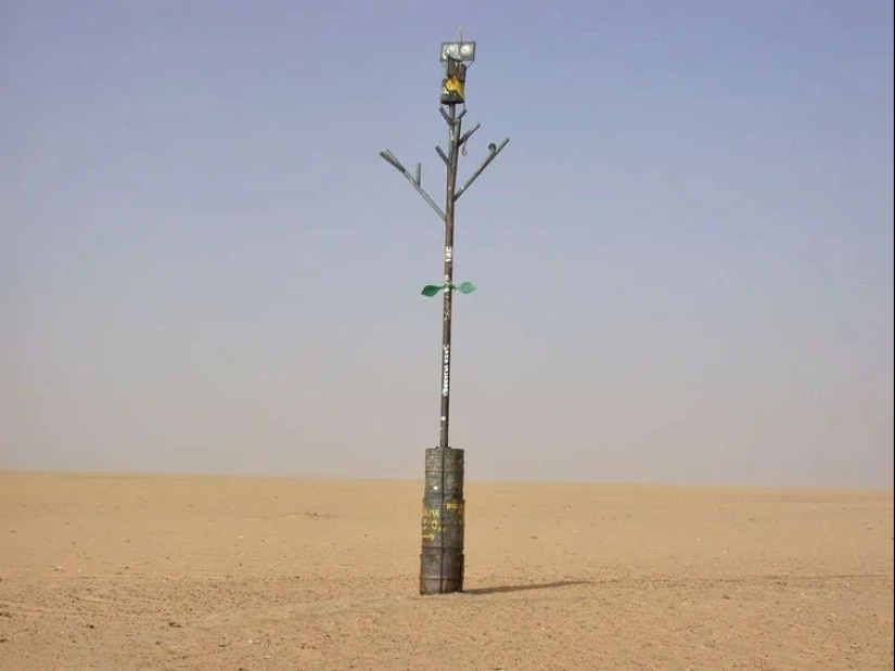 Acacia Tenere - the loneliest tree on our planet