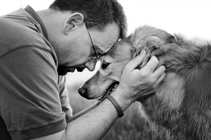 Adiós para siempre: el fotógrafo captura el último momento de amor entre el dueño y el perro antes de la eutanasia