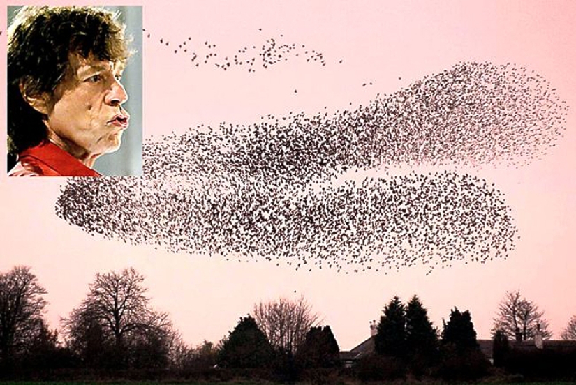 Aerial dance of thousands of starlings in the skies over Scotland