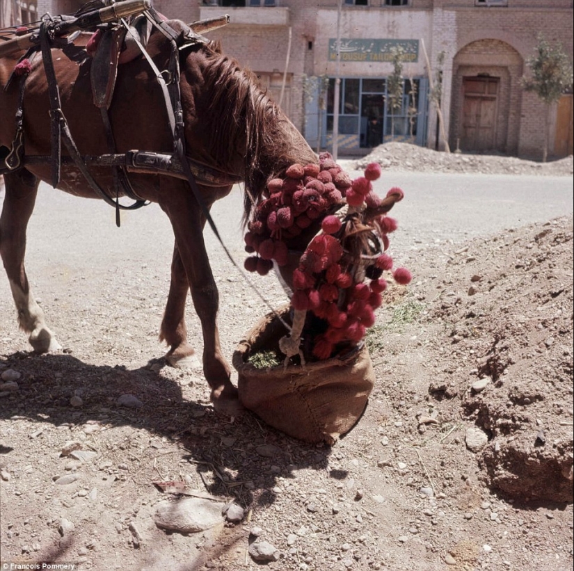 Afghanistan in the 60-70s in the pictures of a French photographer