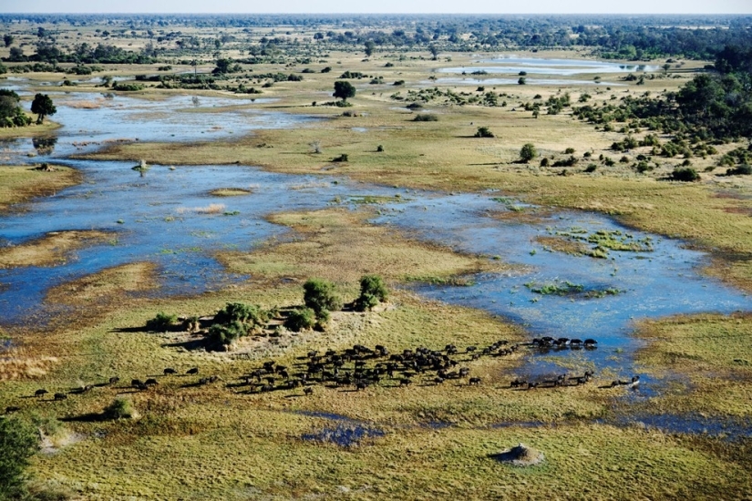 africa aerial view