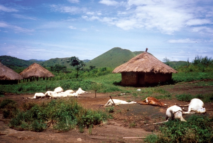 African killer pond: Lake Nyos accounts for 1,800 human casualties