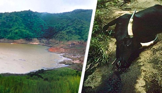 African killer pond: Lake Nyos accounts for 1,800 human casualties