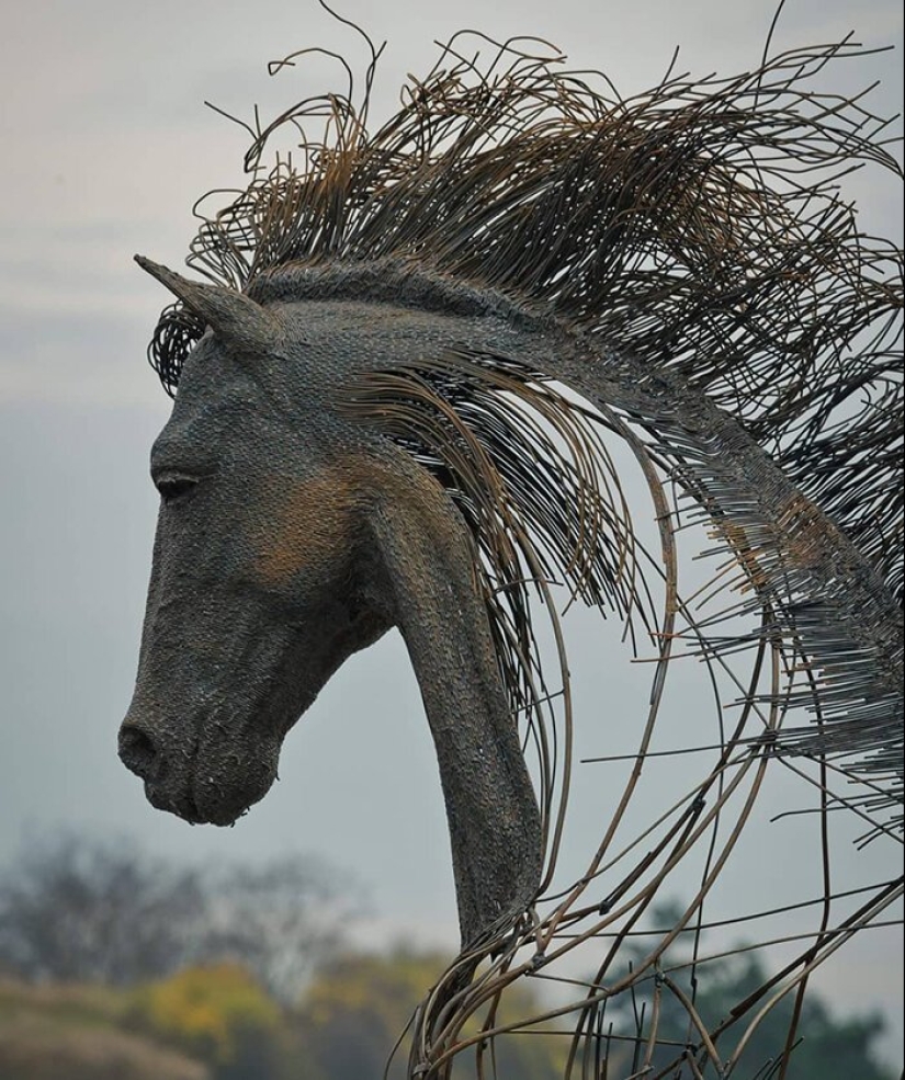 Alambre de escultura de Darío Hulea