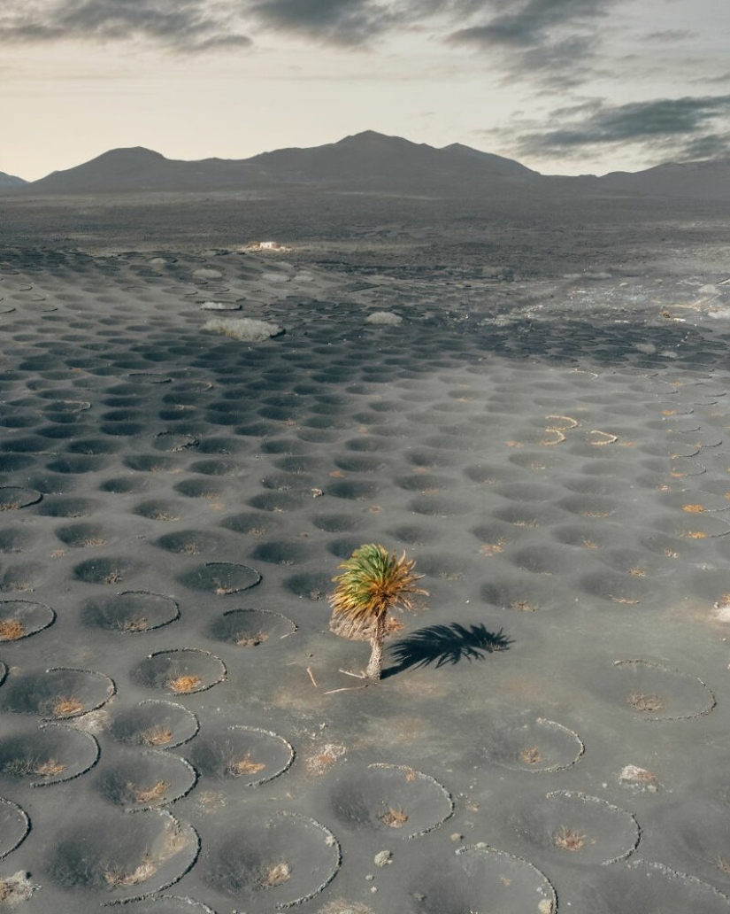 Alien landscapes of Lanzarote