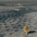 Alien landscapes of Lanzarote