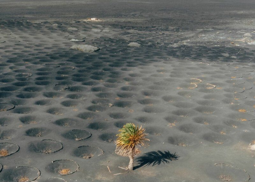 Alien paisajes de Lanzarote