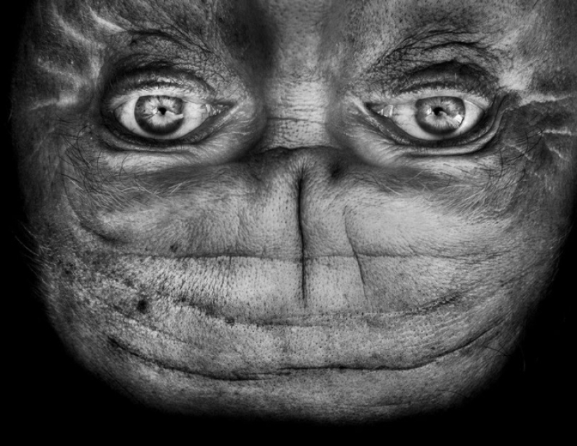 Aliens Among Us: An Inverted face that resembles an alien