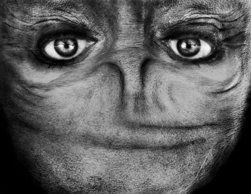 Aliens Among Us: An Inverted face that resembles an alien