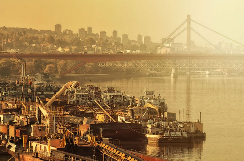 All the beauty of Belgrade in atmospheric photos