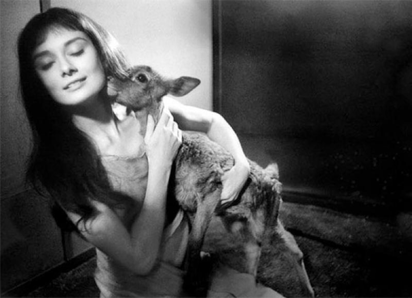 All the best photos of Audrey Hepburn