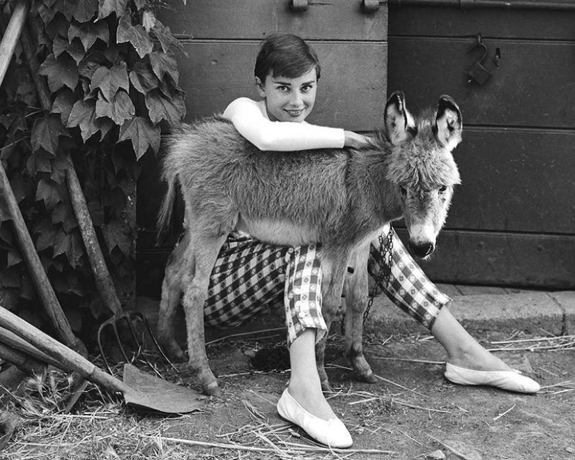 All the best photos of Audrey Hepburn