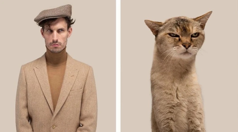 Almost indistinguishable: the photographer has shown how similar cats with their owners