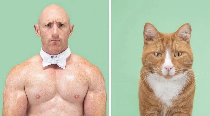 Almost indistinguishable: the photographer has shown how similar cats with their owners