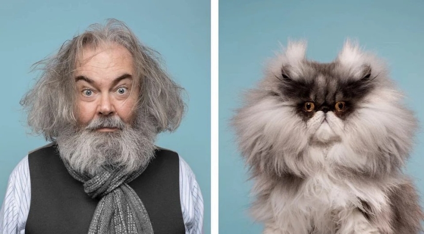 Almost indistinguishable: the photographer has shown how similar cats with their owners