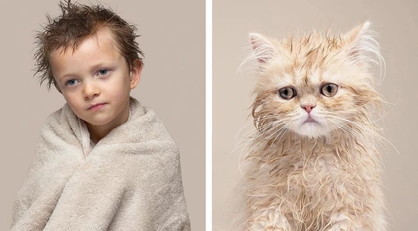 Almost indistinguishable: the photographer has shown how similar cats with their owners