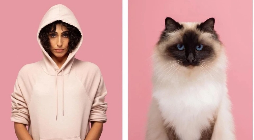 Almost indistinguishable: the photographer has shown how similar cats with their owners