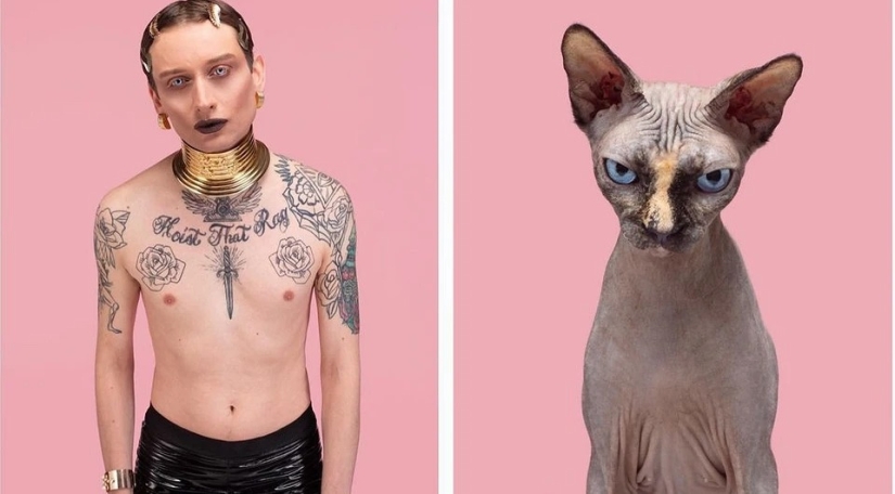 Almost indistinguishable: the photographer has shown how similar cats with their owners