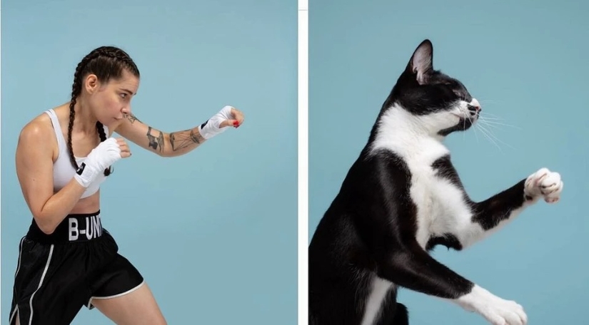 Almost indistinguishable: the photographer has shown how similar cats with their owners