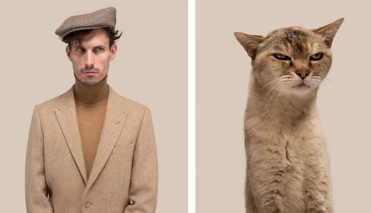 Almost indistinguishable: the photographer has shown how similar cats with their owners