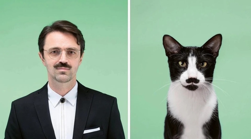 Almost indistinguishable: the photographer has shown how similar cats with their owners