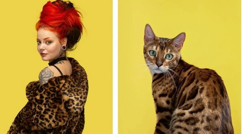 Almost indistinguishable: the photographer has shown how similar cats with their owners