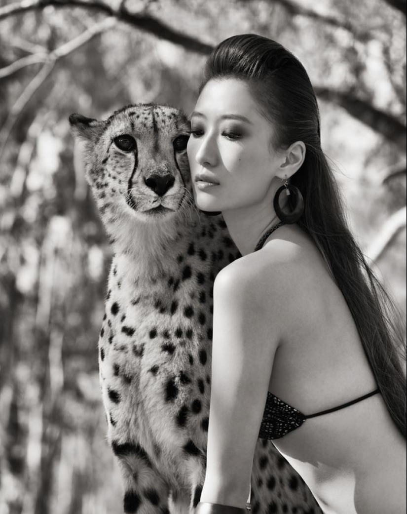 Amazing portraits of Asian models and celebrities with wild animals